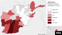 2013 expected opium cultivation levels in Afghanistan, by province.