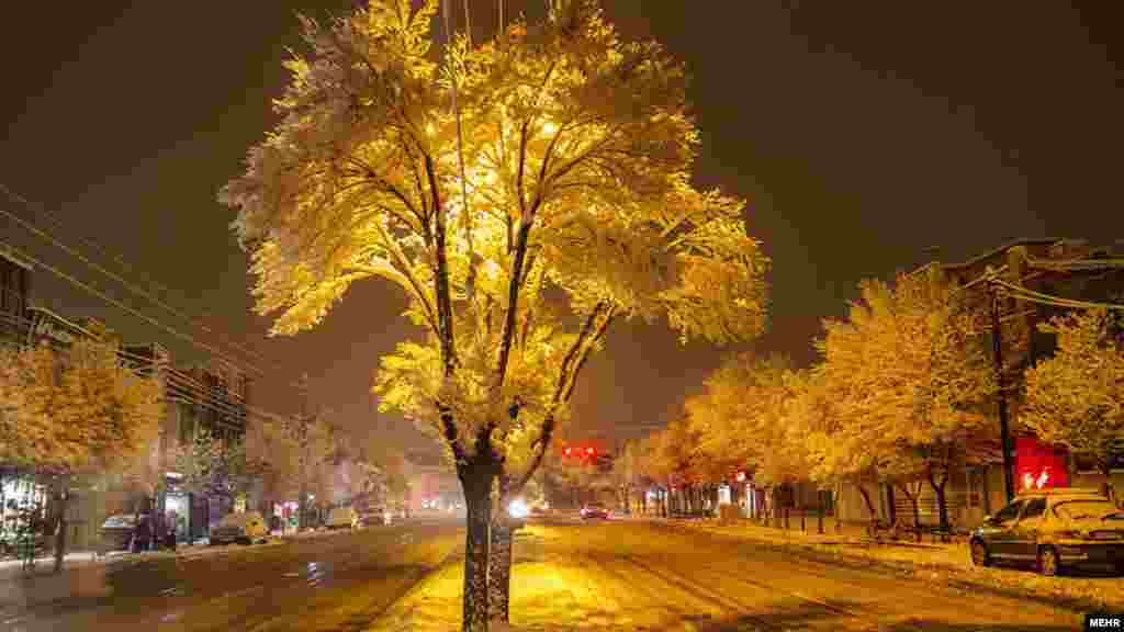 بارش برف در سنندج. عکس: فاطمه عابدی، مهر