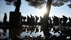 The sun rises as refugees and migrants walk to pass from the northern Greek village of Idomeni to southern Macedonia, Sept. 11, 2015. 