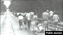 Freed hostages walk toward the airfield in Stanleyville for evacuation, November 1964. 