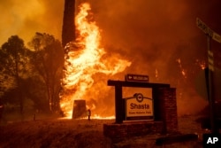Požar u Šasti u Kaliforniji.