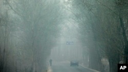 Heavy haze on a severely polluted day obscures a man and a car traveling on a road in Pingshan county of Shijiazhuang in northern China's Hebei province, Feb. 26, 2014.
