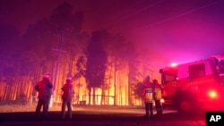 Petugas pemadam kebakaran berusaha memadamkan kebakaran hutan di Wooroloo, dekat Perth, Australia, 1 Februari 2021. 