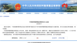中國駐阿德萊德總領事館發聲明反擊澳議員指責