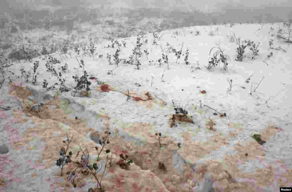 Blood stains are seen on snow at the site of a plane crash outside Almaty, January 29, 2013. The passenger plane crashed in thick fog near Kazakhstan&#39;s commercial capital Almaty and broke into pieces when it hit the ground, killing all 21 people on board.