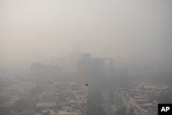 资料照：印度新德里的空气污染景象。（2020年11月4日）