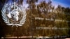 سازمان جهانی بهداشت وضعیت اضطراری در رابطه با زیکا را لغو کرد