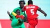 Zimbabwe Sport Worse Off 34 Years After Independence