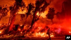 2019年11月1日消防员在加利福尼亚州圣保拉的玛丽亚大火中灭火