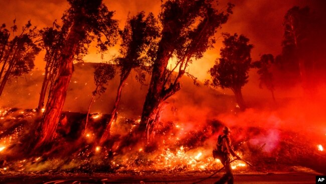2019年11月1日消防员在加利福尼亚州圣保拉的玛丽亚大火中灭火