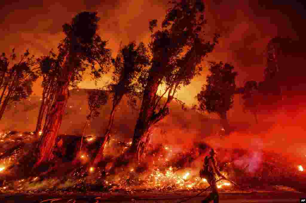 Flames burn a hillside, as firefighters battle the Maria Fire in Santa Paula, California.