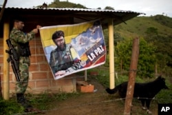 FILE - Orlando, a rebel fighter for the 36th Front of the Revolutionary Armed Forces of Colombia, or FARC, hangs a banner featuring the late rebel leader Alfonso Cano with a message that reads in Spanish: "Our dream is peace with social justice."