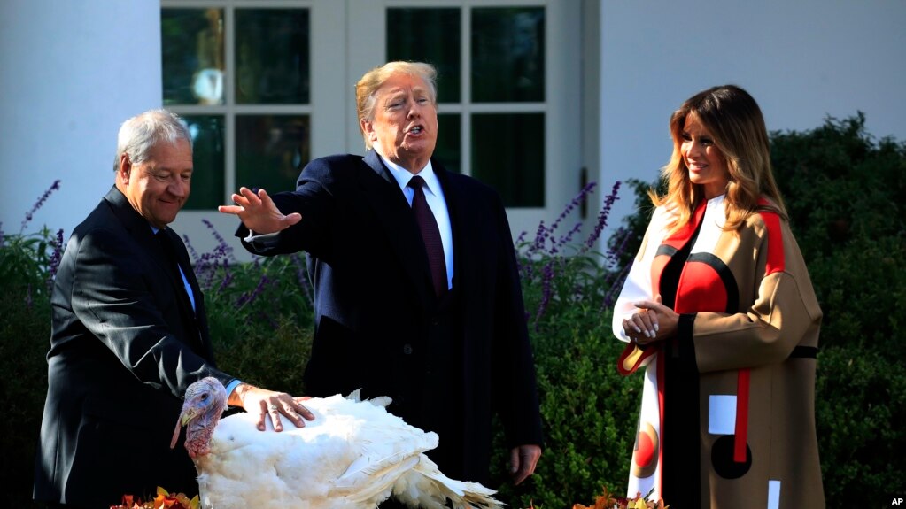 President Donald Trump with first lady Melania Trump, right, gives "Peas", on of the National Thanksgiving Turkeys, an absolute pardon during a ceremony in the Rose Garden of the White House, in Washington, Tuesday, Nov. 20, 2018.