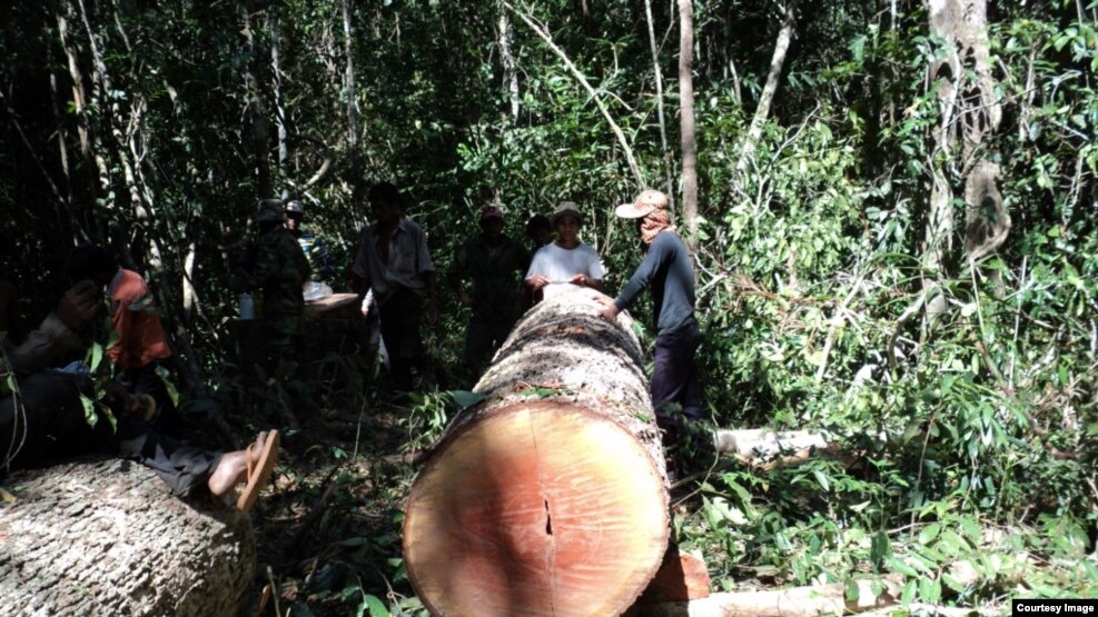 The Prey Lang Community Network works to preserve Cambodia’s natural environment. (Courtesy photo of The Prey Lang Community Network). 