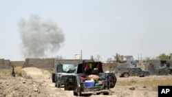 Les forces antiterroristes d'élite de l'Irak entrent dans le quartier Shuhada à Fallouja, en Irak, le 5 Juin 2016.