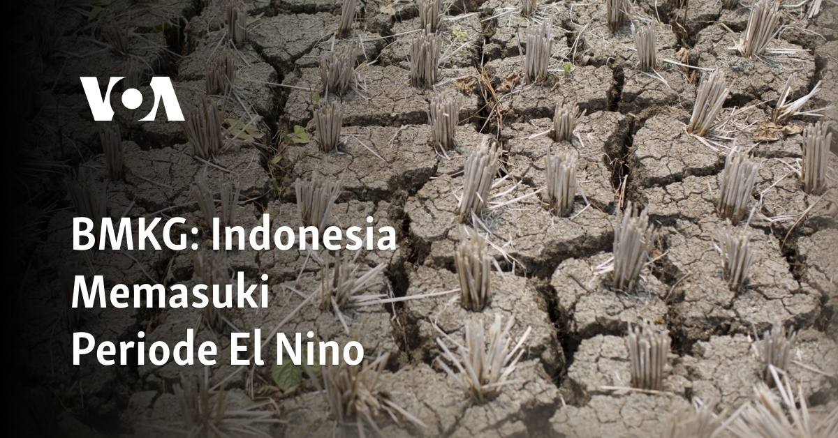 BMKG: Indonesia Memasuki Periode El Nino