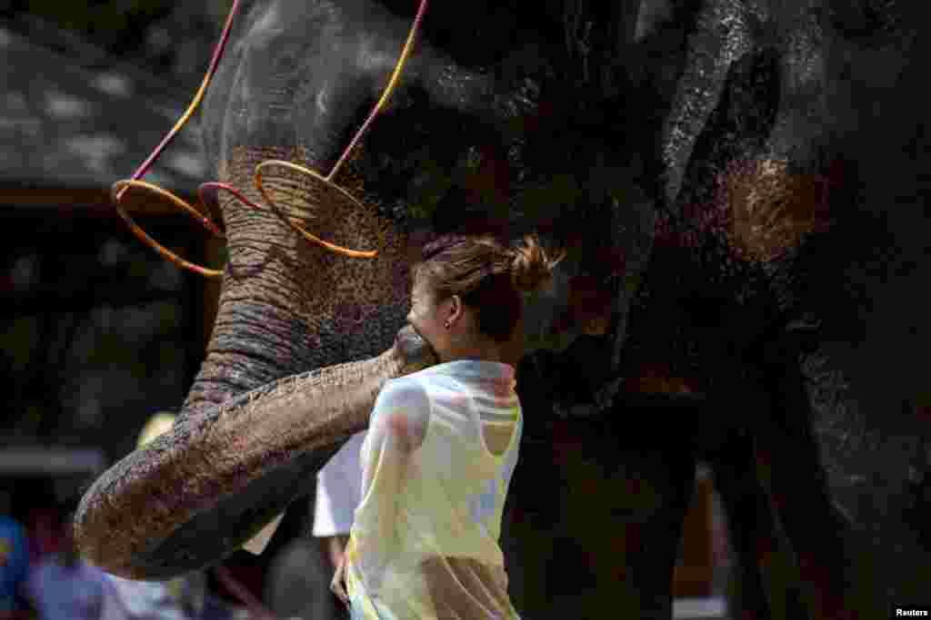 중국 윈난성 시솽반나의 코끼리 훈련학교에서 코끼리가 코로 방문객의 입에 뽀뽀를 하고 있다.