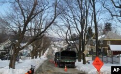 FILE - In this January 2009 photo provided by Massachusetts DCR, trees infested with the Asian longhorned beetle and slated for removal are seen along Granville Avenue in Worcester, Mass. The infestation resulted in removal of some 31,000 trees in the city of about 180,000 people.