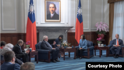 台湾总统蔡英文2019年2月20日接见欧洲议会议员访问团。（台湾总统府）