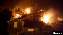 پرتگال میں فائرفائیٹرز جنگل میں لگنے والی آگ بچھانے کی کوشش کر رہے ہیں۔ 19 جون 2017