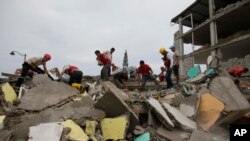 Volunteers search for survivors in buildings destroyed by an earthquake in Pedernales, Ecuador, Sunday, April 17, 2016. 