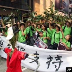 抗议者穿着绿色服装挥舞绿色富贵竹叶推着人力车