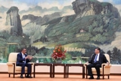 中国国家主席习近平在北京人大会堂会见到访的世卫组织总干事谭德塞。（2020年1月28日）