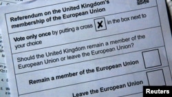 Illustration picture of postal ballot papers in London ahead of the June 23 BREXIT referendum when voters will decide whether Britain will remain in the European Union, June 1, 2016.