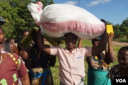 Flood Victims in Chikwawa district carry a bag of maize meant to be shared among themselves. (L. Mesina for VOA)