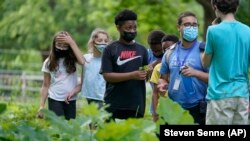 Students Lyla Mendoza, left, Nesha Moskowitz, second from left, Giovanni Pierre, center, and camp educator Adrian Oller, center right, examine wild sorrel during a hike at Mass Audubon's Boston Nature Center in Boston, Wednesday, June 23, 2021. (AP Photo/Steven Senne)