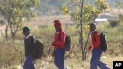 FILE: Schoolchildren return home from school after teachers boycotted their lessons in the capital following a job boycott started via social media platforms, in Harare, Wednesday, July,6, 2016. (AP Photo/Tsvangirayi Mukwazhi)