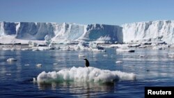 FILE - An Adelie penguin stands atop a block of melting ice near the French station at Dumont díUrville in East Antarctica.