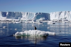 FILE - An Adelie penguin stands atop a block of melting ice near the French station at Dumont díUrville in East Antarctica.