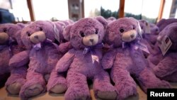 FILE - Rows of "Bobbie Bear", a lavender and wheat stuffed soft toy, sit on a table at the headquarters of Tasmania's Bridestowe Lavender located near the town of Nabowla, Australia.