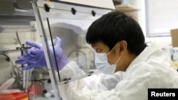 冠狀病毒在紐約市爆發期間，一位科學家在紐約市衛生部門的實驗室中測試病毒樣品。（路透社2020年4月23日資料照）