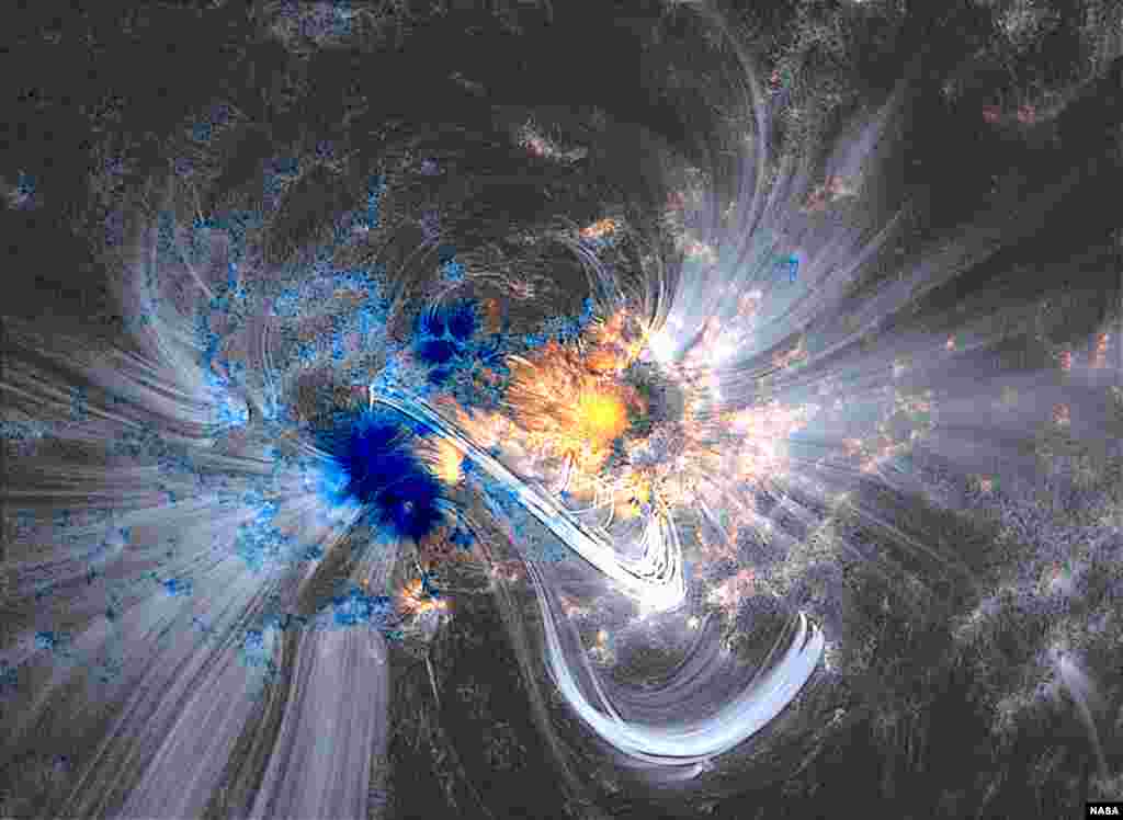 Atmosfera solar em vários comprimentos de onda. O campo magnético pode ser facilmente visualizado através das costas brilhantes e finas, chamados &quot;loops coronais.&quot;