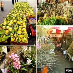 Flowers and fruits for TET celebration