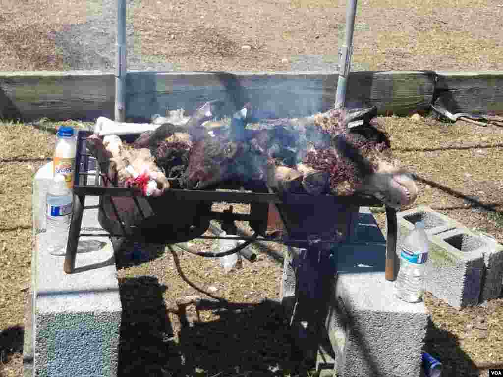 Babbar Sallah 2019