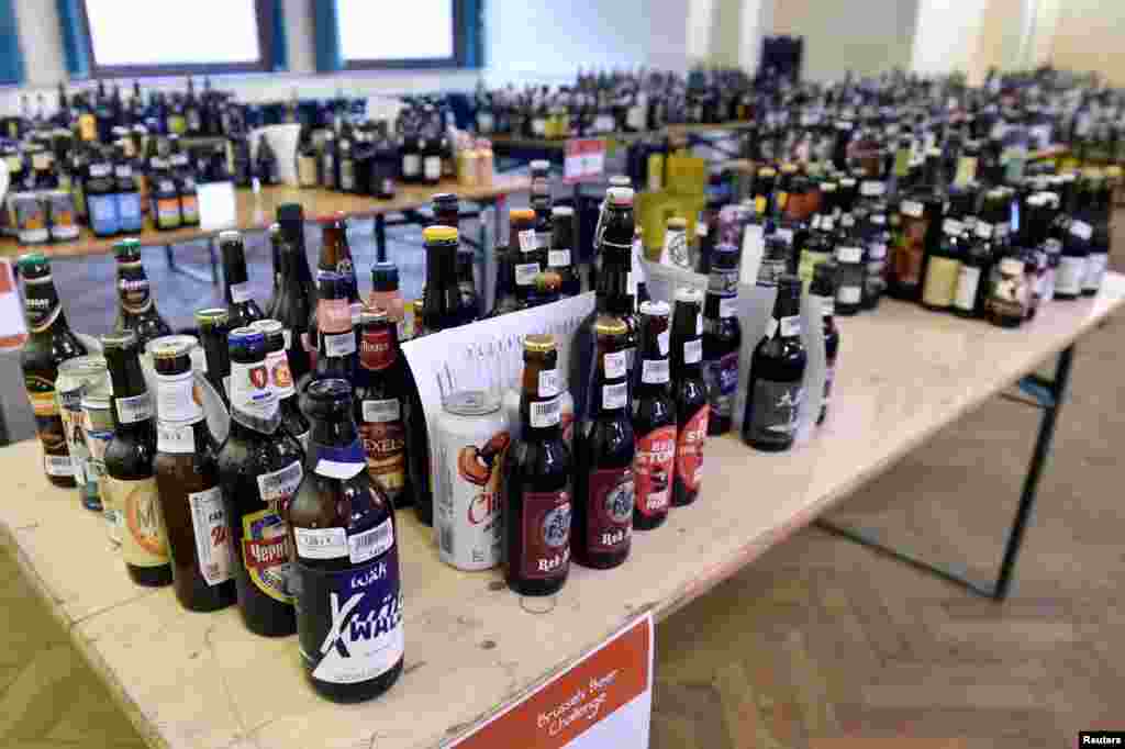انواع و اقسام آبجو در مسابقه چالش آبجو بروکسل در بلژیک.