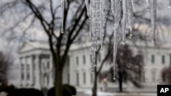 Hielo en los árboles que rodean la Casa Blanca en Washington, luego de una tormenta de lluvia helada el sábado por la mañana.