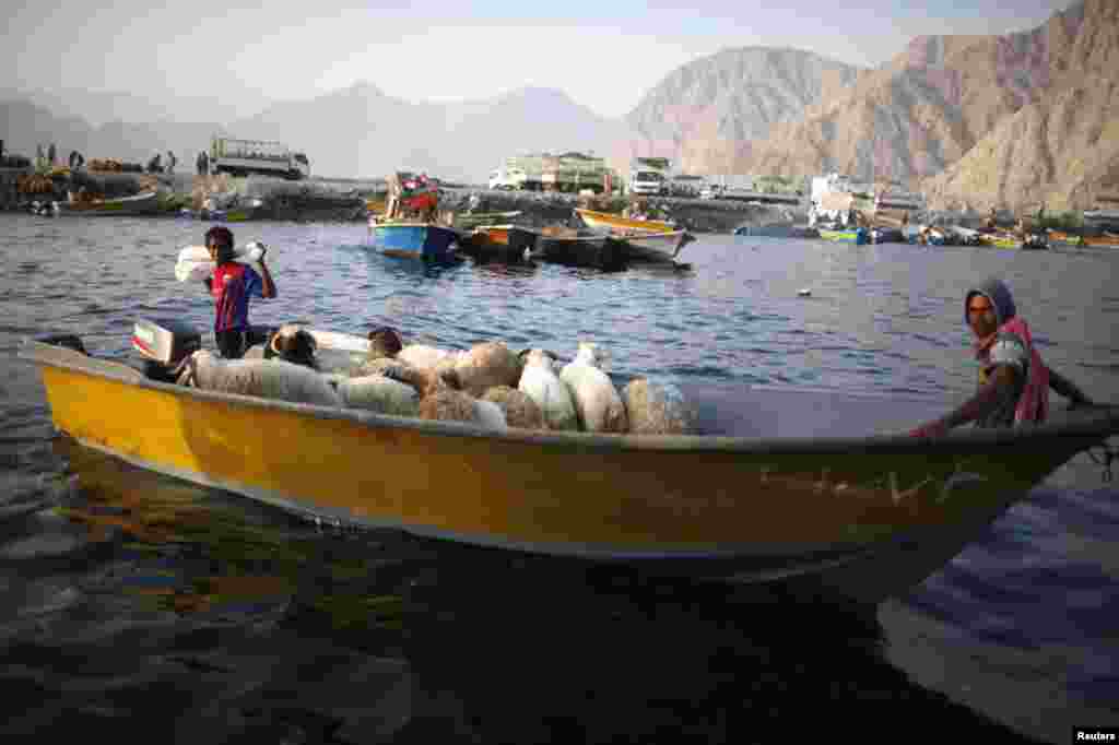 Iranian smugglers drive a boat loaded with sheep at the Omani port of Khasab September 26, 2012. 