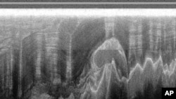 A magnetic and laser image of the mountain range underneath the Antarctic ice sheet that Robin Bell and her colleagues mapped in 2009.