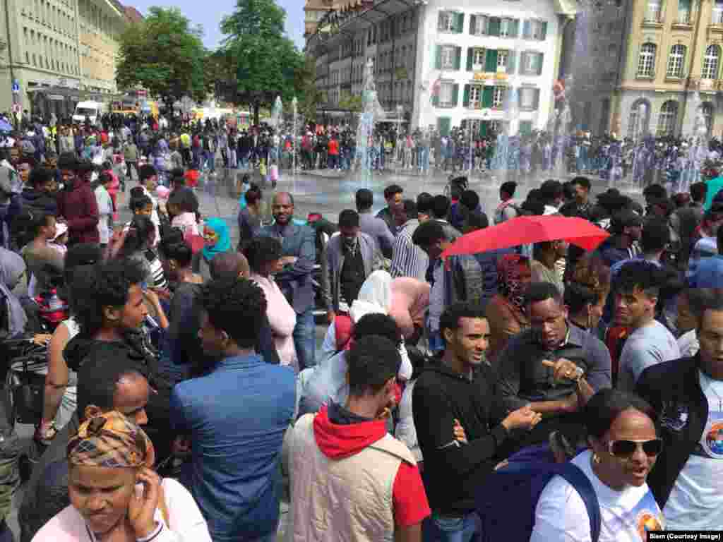 ሰልፊ ኤርትራዊያን ኣብ ስዊዘርላንድ