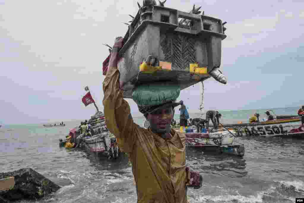 Men haul in a day’s catch, mostly the smaller sardinella fish, off the coast of Joal, Senegal, May 29, 2017. (R. Shryock/VOA)