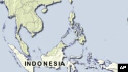 Conserving Indonesian Forests