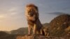 คุยหนัง – การกลับมาอย่างราชสีห์ของ The Lion King แบบไลฟ์-แอคชั่น