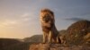 Lion King Berjaya di Box Office Dua Minggu Berturut-turut