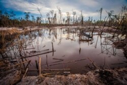 Gambar yang diambil di Kereng Pengi, Pontianak di Kalimantan Barat ini menunjukkan lokasi penambangan emas ilegal di mana para penambang menggunakan merkuri mencemari sungai dan tanah yang menyebabkan kerusakan lingkungan. (Foto: AFP/Chaideer Mahyuddin)