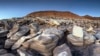 Petrified Forest National Park: Ancient and Spectacular