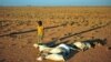 Somalia Warns of Famine